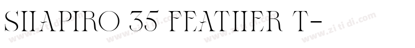 Shapiro 35 Feather T字体转换